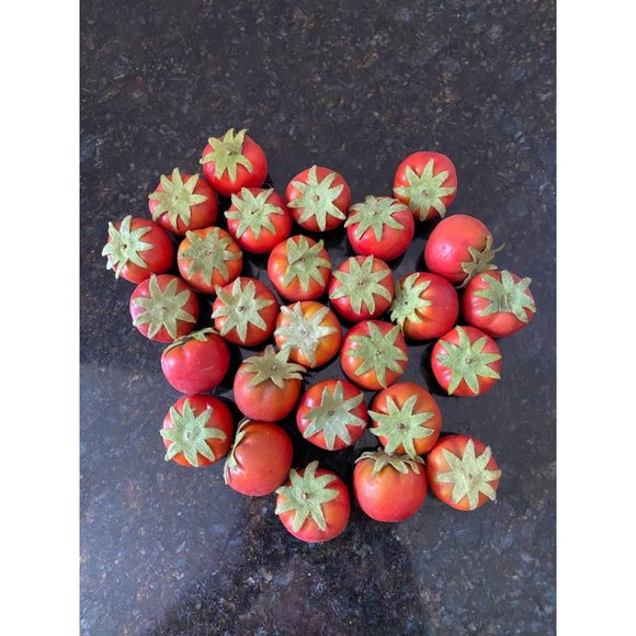 Realistic Micro Tomatoes with Green Stems, Plastic (Qty. 27) - Picture 2 of 3